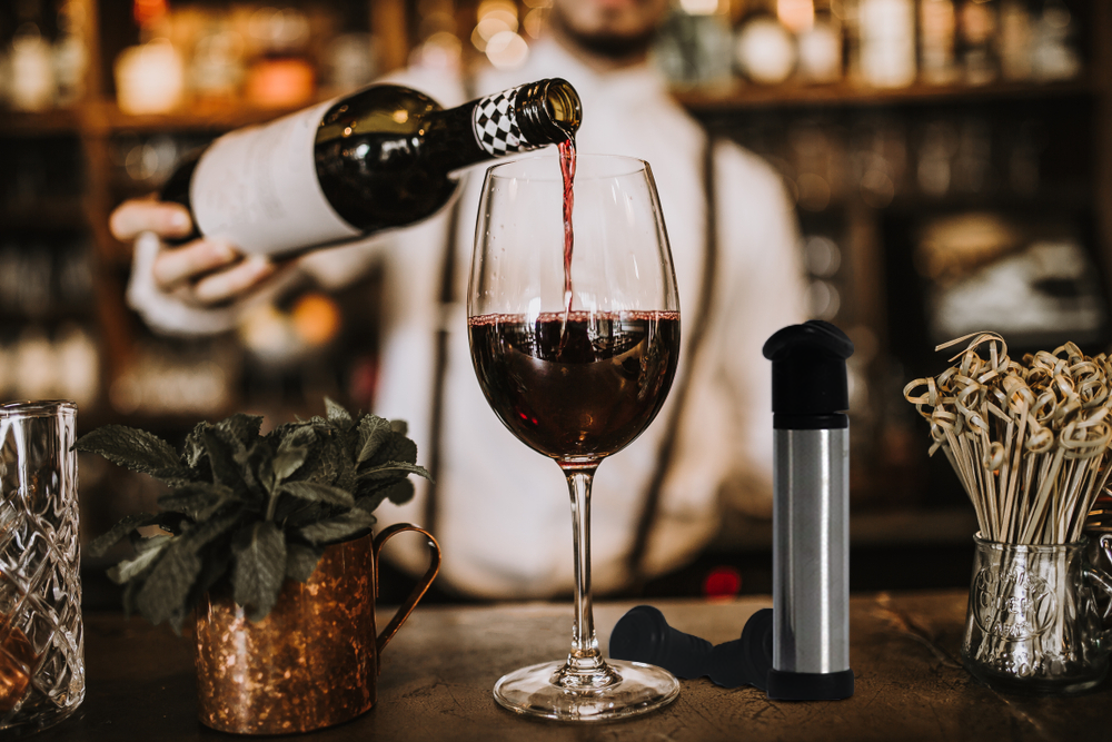 Pompe à vide en acier inoxydable