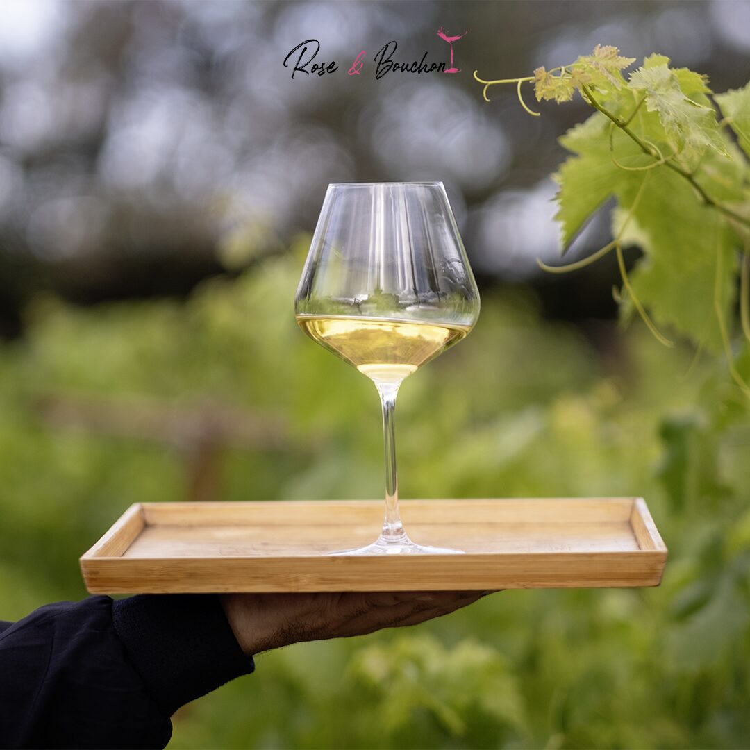 Verre à vin Burgundy en Cristal – Éclat de Prestige (Pack de 6)